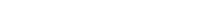 Synternet Logo